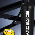 Scuba Diving Oxygen Tank 1L - Cylinder Underwater Breather for with Breathing Valve B Set - Scuba Diving Oxygen Tank 1L Price in Pakistan