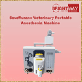 Sevoflurane Veterinary Portable Anesthesia Machine Seller Pakistan