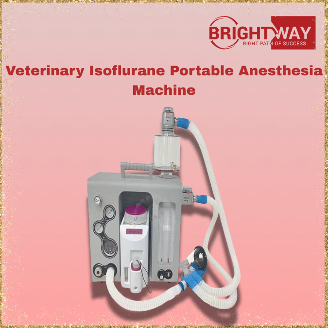 Veterinary Isoflurane Portable Anesthesia Machine Seller Pakistan