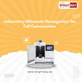 Laboratory Ultrasonic Homogenizer for Cell Comminution Pakistan